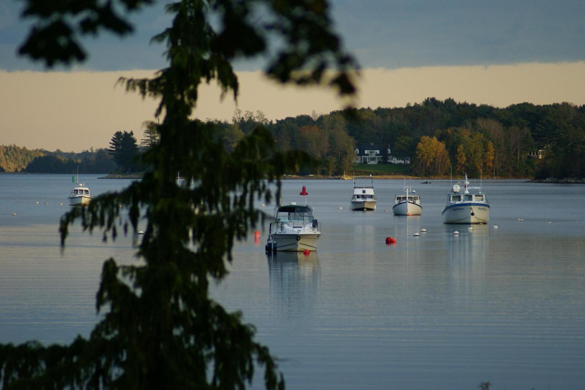 Fisherman'S Daughter B&B Mahone Bay Extérieur photo